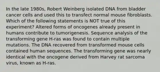 In the late 1980s, Robert Weinberg isolated DNA from bladder cancer cells and used this to transfect normal mouse fibroblasts. Which of the following statements is NOT true of this experiment? Altered forms of oncogenes already present in humans contribute to tumorigenesis. Sequence analysis of the transforming gene H-ras was found to contain multiple mutations. The DNA recovered from transformed mouse cells contained human sequences. The transforming gene was nearly identical with the oncogene derived from Harvey rat sarcoma virus, known as H-ras.