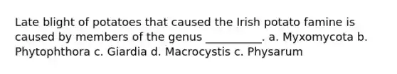 Late blight of potatoes that caused the Irish potato famine is caused by members of the genus __________. a. Myxomycota b. Phytophthora c. Giardia d. Macrocystis c. Physarum