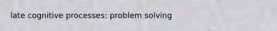 late cognitive processes: problem solving