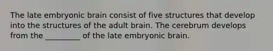 The late embryonic brain consist of five structures that develop into the structures of the adult brain. The cerebrum develops from the _________ of the late embryonic brain.