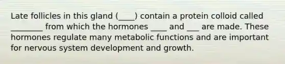 Late follicles in this gland (____) contain a protein colloid called ________ from which the hormones ____ and ___ are made. These hormones regulate many metabolic functions and are important for nervous system development and growth.