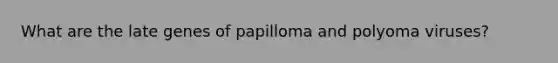 What are the late genes of papilloma and polyoma viruses?