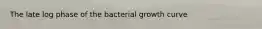 The late log phase of the bacterial growth curve