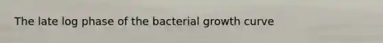 The late log phase of the bacterial growth curve