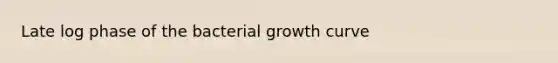 Late log phase of the bacterial growth curve