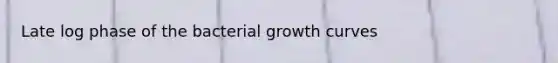 Late log phase of the bacterial growth curves