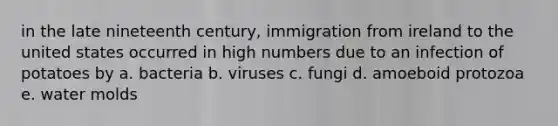 in the late nineteenth century, immigration from ireland to the united states occurred in high numbers due to an infection of potatoes by a. bacteria b. viruses c. fungi d. amoeboid protozoa e. water molds