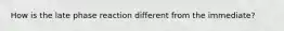 How is the late phase reaction different from the immediate?