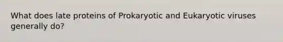 What does late proteins of Prokaryotic and Eukaryotic viruses generally do?