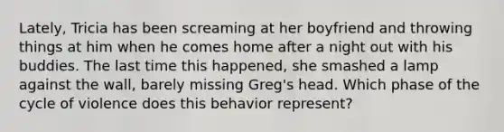 Lately, Tricia has been screaming at her boyfriend and throwing things at him when he comes home after a night out with his buddies. The last time this happened, she smashed a lamp against the wall, barely missing Greg's head. Which phase of the cycle of violence does this behavior represent?