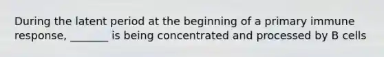 During the latent period at the beginning of a primary immune response, _______ is being concentrated and processed by B cells