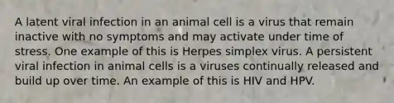 A latent viral infection in an animal cell is a virus that remain inactive with no symptoms and may activate under time of stress. One example of this is Herpes simplex virus. A persistent viral infection in animal cells is a viruses continually released and build up over time. An example of this is HIV and HPV.