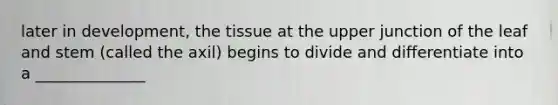 later in development, the tissue at the upper junction of the leaf and stem (called the axil) begins to divide and differentiate into a ______________