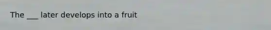 The ___ later develops into a fruit