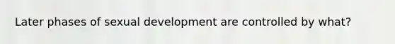 Later phases of sexual development are controlled by what?