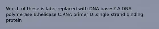 Which of these is later replaced with DNA bases? A.DNA polymerase B.helicase C.RNA primer D.,single-strand binding protein