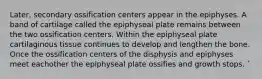 Later, secondary ossification centers appear in the epiphyses. A band of cartilage called the epiphyseal plate remains between the two ossification centers. Within the epiphyseal plate cartilaginous tissue continues to develop and lengthen the bone. Once the ossification centers of the disphysis and epiphyses meet eachother the epiphyseal plate ossifies and growth stops. `