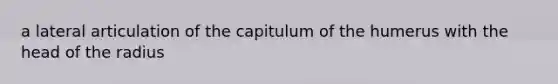 a lateral articulation of the capitulum of the humerus with the head of the radius