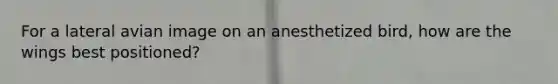 For a lateral avian image on an anesthetized bird, how are the wings best positioned?