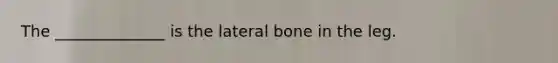 The ______________ is the lateral bone in the leg.