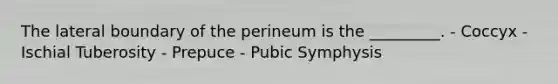 The lateral boundary of the perineum is the _________. - Coccyx - Ischial Tuberosity - Prepuce - Pubic Symphysis