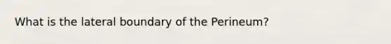 What is the lateral boundary of the Perineum?