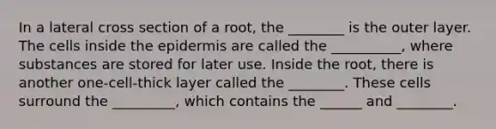 In a lateral cross section of a root, the ________ is the outer layer. The cells inside the epidermis are called the __________, where substances are stored for later use. Inside the root, there is another one-cell-thick layer called the ________. These cells surround the _________, which contains the ______ and ________.