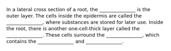 In a lateral cross section of a root, the _______________ is the outer layer. The cells inside the epidermis are called the _______________, where substances are stored for later use. Inside the root, there is another one-cell-thick layer called the _______________. These cells surround the _______________, which contains the _______________ and _______________.