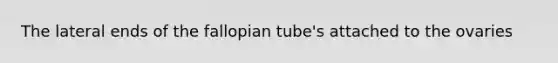 The lateral ends of the fallopian tube's attached to the ovaries