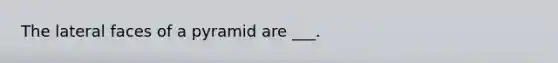 The <a href='https://www.questionai.com/knowledge/kxXXRLNbaa-lateral-face' class='anchor-knowledge'>lateral face</a>s of a pyramid are ___.