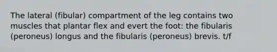 The lateral (fibular) compartment of the leg contains two muscles that plantar flex and evert the foot: the fibularis (peroneus) longus and the fibularis (peroneus) brevis. t/f