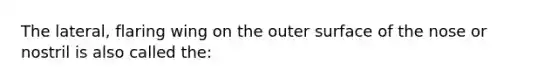 The lateral, flaring wing on the outer surface of the nose or nostril is also called the: