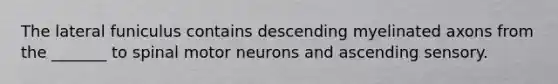 The lateral funiculus contains descending myelinated axons from the _______ to spinal motor neurons and ascending sensory.