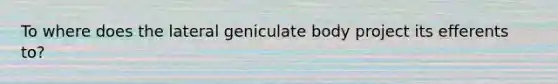 To where does the lateral geniculate body project its efferents to?