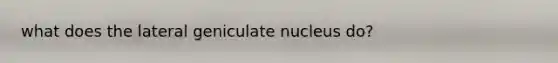 what does the lateral geniculate nucleus do?