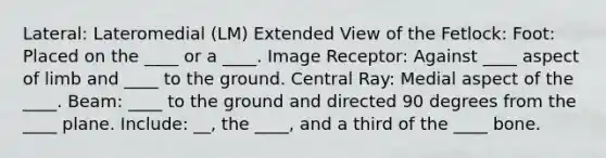 Lateral: Lateromedial (LM) Extended View of the Fetlock: Foot: Placed on the ____ or a ____. Image Receptor: Against ____ aspect of limb and ____ to the ground. Central Ray: Medial aspect of the ____. Beam: ____ to the ground and directed 90 degrees from the ____ plane. Include: __, the ____, and a third of the ____ bone.