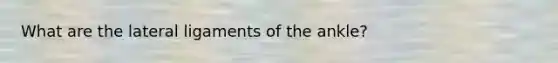 What are the lateral ligaments of the ankle?