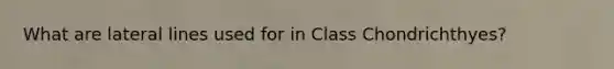 What are lateral lines used for in Class Chondrichthyes?