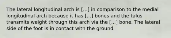 The lateral longitudinal arch is [...] in comparison to the medial longitudinal arch because it has [...] bones and the talus transmits weight through this arch via the [...] bone. The lateral side of the foot is in contact with the ground