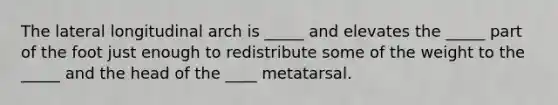 The lateral longitudinal arch is _____ and elevates the _____ part of the foot just enough to redistribute some of the weight to the _____ and the head of the ____ metatarsal.