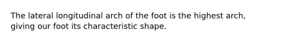 The lateral longitudinal arch of the foot is the highest arch, giving our foot its characteristic shape.