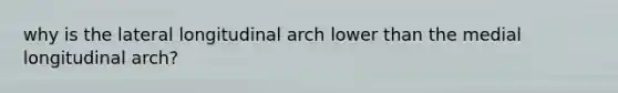 why is the lateral longitudinal arch lower than the medial longitudinal arch?