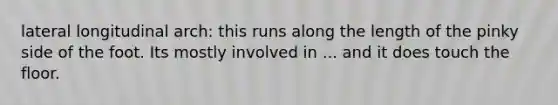 lateral longitudinal arch: this runs along the length of the pinky side of the foot. Its mostly involved in ... and it does touch the floor.