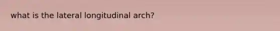 what is the lateral longitudinal arch?