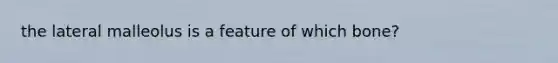 the lateral malleolus is a feature of which bone?