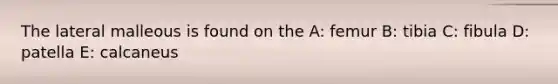 The lateral malleous is found on the A: femur B: tibia C: fibula D: patella E: calcaneus