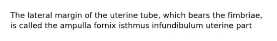 The lateral margin of the uterine tube, which bears the fimbriae, is called the ampulla fornix isthmus infundibulum uterine part