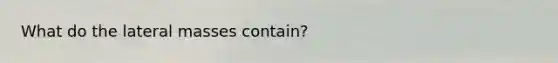 What do the lateral masses contain?