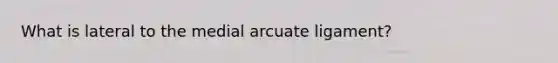 What is lateral to the medial arcuate ligament?