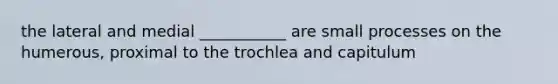 the lateral and medial ___________ are small processes on the humerous, proximal to the trochlea and capitulum